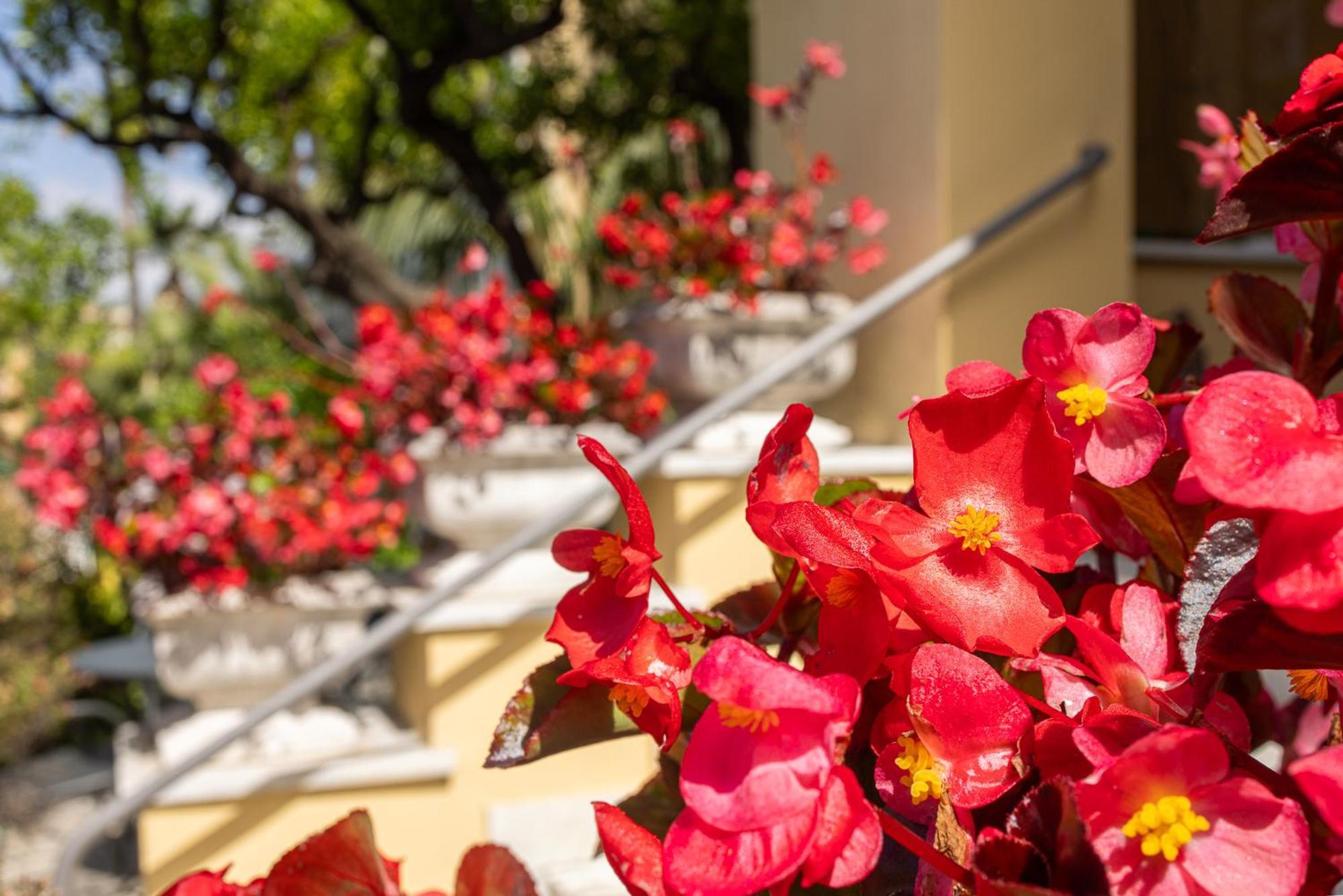 Hotel Villa Elisa & Spa Bordighera Exterior foto